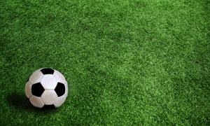  最新中超押注站世界杯，球迷观赛新选择？（最新中超押注站世界杯）